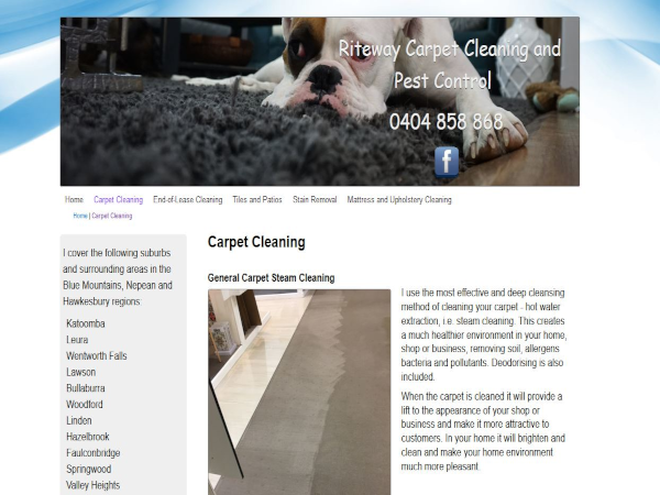 image of a website page from Riteway Steam Cleaning