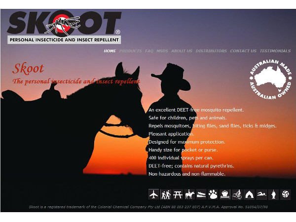 image of the front page of Skoot
